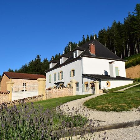 Le Domaine De La Source Hotel Chauffailles Екстериор снимка