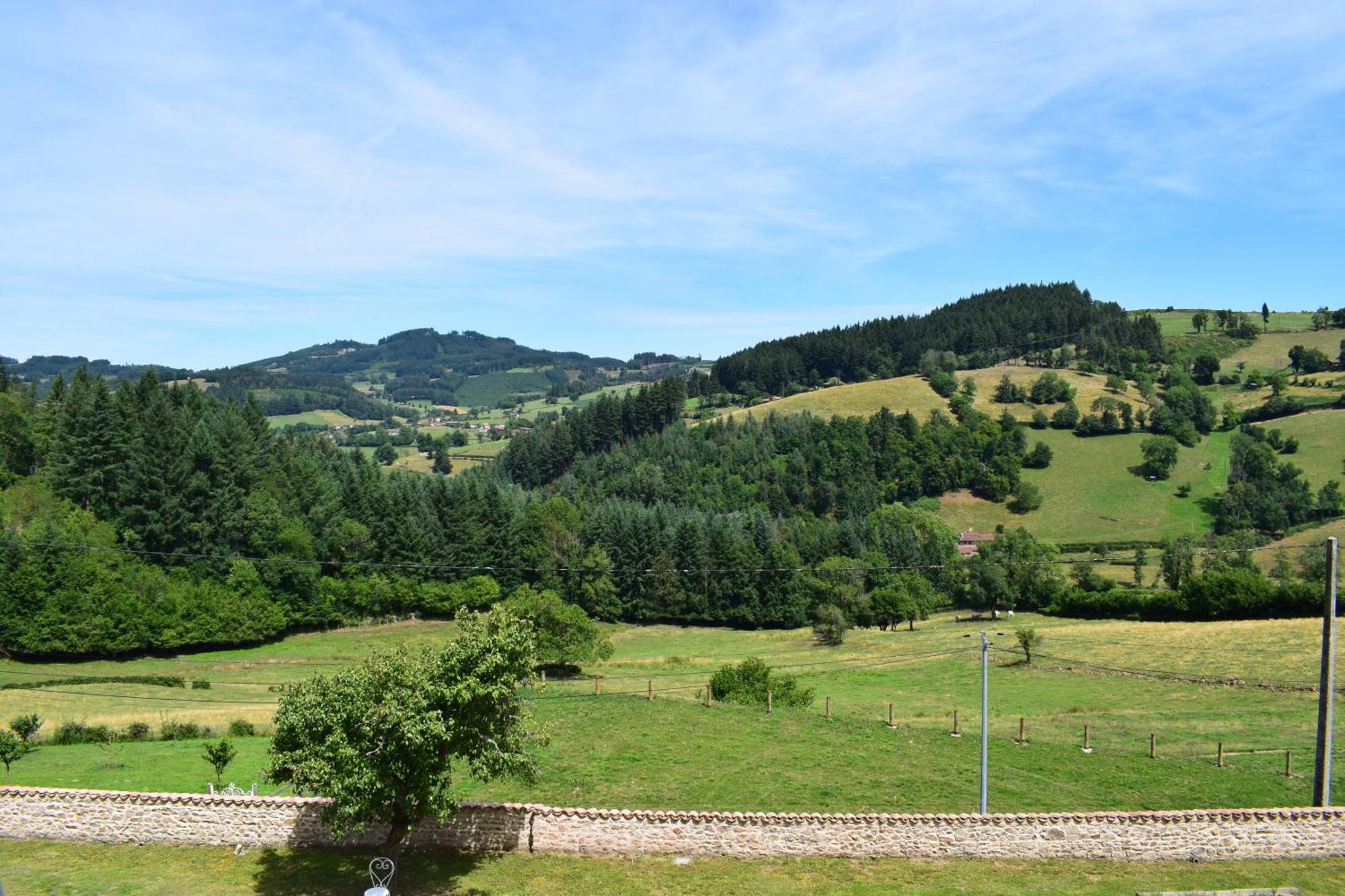 Le Domaine De La Source Hotel Chauffailles Екстериор снимка