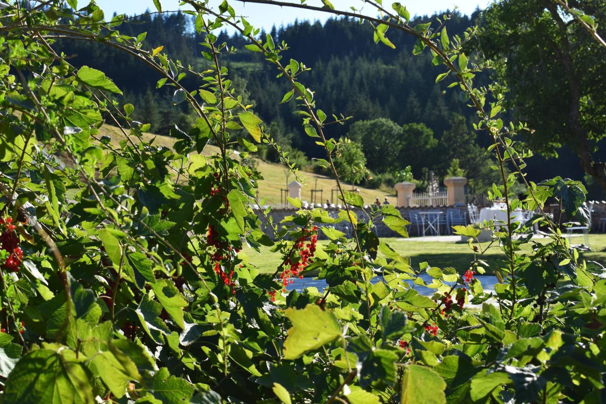 Le Domaine De La Source Hotel Chauffailles Екстериор снимка